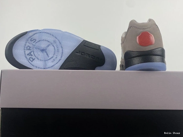 Bmlin 4006 Low Jordan5 TechFriendly DX6325- 1027